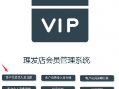 【会员管理】VBA+函数实用轻松管理会员消费，自动汇总查询，复杂工作躺着做