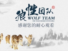 【演讲培训】管理团队员工培训，培养狼性意识，内容完整直接套用