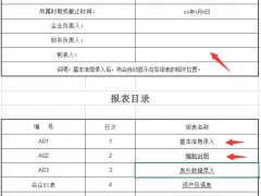【财务管理】财务专用资产负债表、现金流量表自动完成，工作秒变轻松