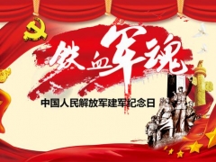 【节日庆典】铁军军魂建军节专用PPT，58页完整内容框架，精心设计，拿来就用