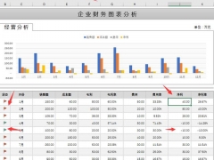 【财务管理】企业财务分析图表，动态组合图表，数理分析超快捷
