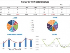 【图形图表】Excel分店部门销售业绩分析表，多图表分析，自动计算，高清显示