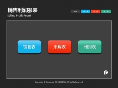 【报表分析】Excel销售利润报表，极简式设计，汇总统计单手操作