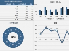 【图形图表】Excel销售每周销售额汇报图，简易多图表显示，直观周报超清晰