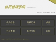 【会员管理】Excel会员管理系统，自动积分，自动升级，一键查询超轻便