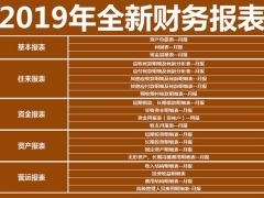 超实用全新整套财务人员专用报表，2019年精致设计，直接拿走