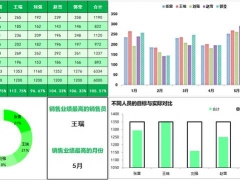 超实用销售业绩分析图，多图同步自动显示，Excel完美套用不加班