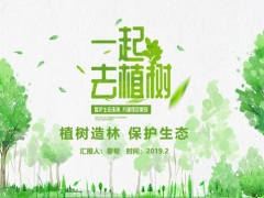 超实用植树节活动PPT模板，节日活动计划神器，简约清新