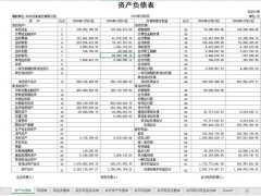 Excel公司年度财务报表合集，2019年全新主表格，完整套用超省心