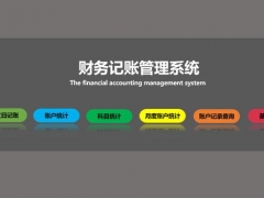 Excel财务记账系统，收支统计查询函数自动显示，单手操作超轻松