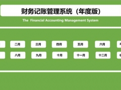 年度记账管理套表，Excel全函数下拉菜单选择，自动统算图表