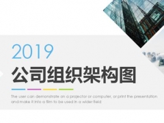 公司组织架构图PPT，完整图表设计，任意排版设计，赶紧拿走