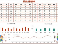 全自动销售分析图，柱形饼状折线图直接显示，销量展示直接套用