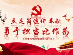 支部学习培训课件，讲奉献讲担当，完整课件内容，赶紧拿走