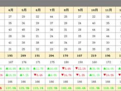 全自动Excel销售报表，自动同比环比计算，图表同步高清显示