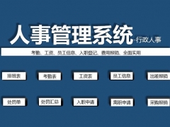 Excel人事管理套表，常用表格合集，专业设计，套用轻松不加班