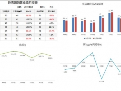 Excel销售业绩月报表，自动图表展示，同步更新，一键变色超轻松