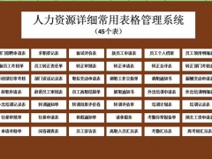 Excel人力资源详细常用表格，45个表格设计，完整套用不加班