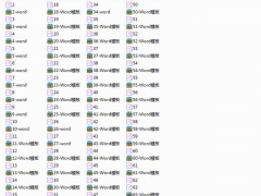 word组织架构图，完整框架结构，一键换色，个性修改快速成图