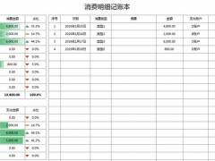 Excel费用支出明细表，自带数据条显示，下拉菜单函数自动汇总