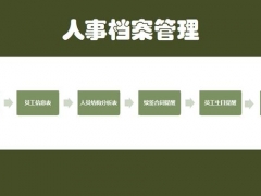 Excel员工信息档案套表，自动生日合同提醒，人员结构全函数操作