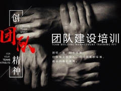 员工培训团队建设PPT，全内容版面设计，团队意识培养必备神器