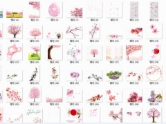 手绘樱花PSD-PNG素材，免抠图源文件，套用组合无脑快捷，赶紧GET