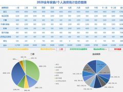 Excel全年消费统计动态图表，下拉菜单动态图表，一键换色超轻松
