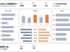 Excel人力资源数据看板，自动静态看板，结构多图分析，轻松简单