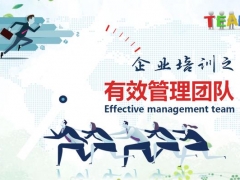 企业员工绩效团队，管理执行力培训PPT，全内容完整设计拿来就用