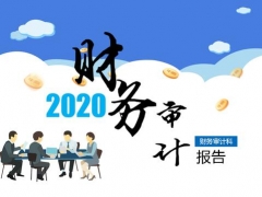 超简约公司财务审计报告PPT，蓝色专业设计，完整内容无脑套用