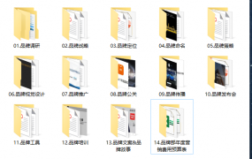 品牌营销方案合集，调研战略定位，策略推广培训全套内容学习套用