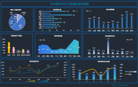 Excel营销数据可视化看板，可调节动态显示，多图联动高大上