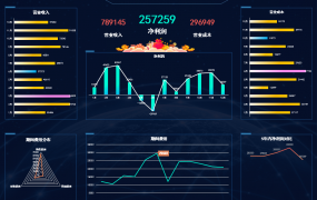 Excel财务报表数据可视化看板，多图动图图表展示，高效实用