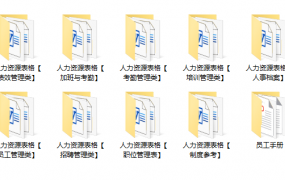 人力资源HR工作必备表格，全套表格设计，架构完整复制套用
