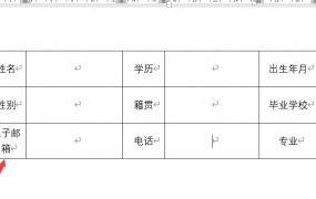 word表格单独调整宽度,文本录入排版适应表格,极简轻松