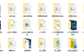 人力资源管理资料包，制度方案表格全套范文，全内容材料套用