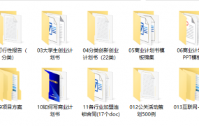 商业计划书、可行性报告、调查报告、项目方案，全内容文案套用