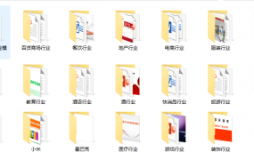 各行业报告社群案例资料，顶尖商业模式范例，范文素材无脑套用