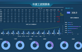 Excel商务年度工资预算表，动态图表设计，一键变色高质量展示