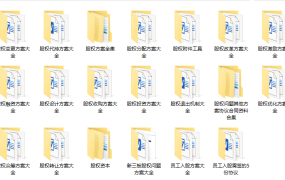 股权工具包股权资料合集，方案协议范文案例，专业套用超轻松