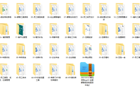 全套薪酬绩效制度资料包，人事绩效文档，表格制度范例轻松套用