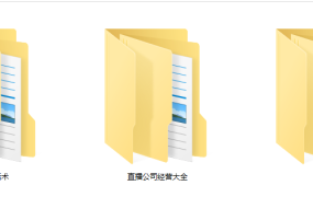 直播带货话术经营案例范例资料，全套文案素材，培训学习直接套用